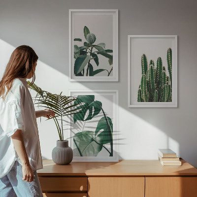 Three-piece wall art piece Tropical aesthetic plants
