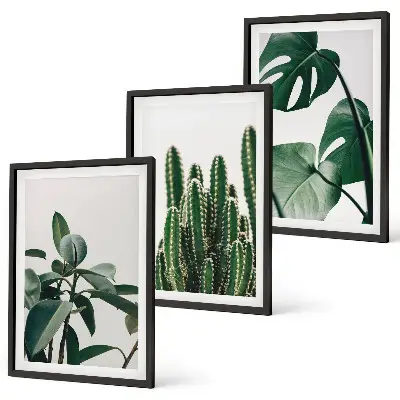 Tropical plants wall art set three-piece aesthetic canvas print