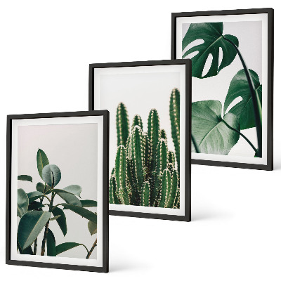 Three-piece wall art piece Tropical aesthetic plants