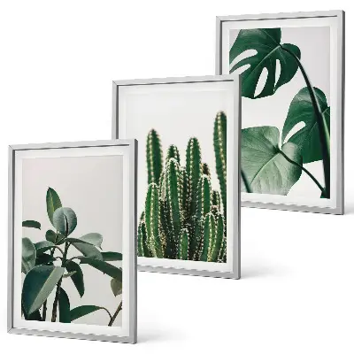 Tropical plants wall art set three-piece aesthetic canvas print