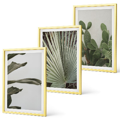 Three-piece wall art piece Leaves of tropical plants pastel