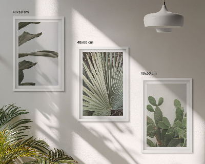 Three-piece wall art piece Leaves of tropical plants pastel