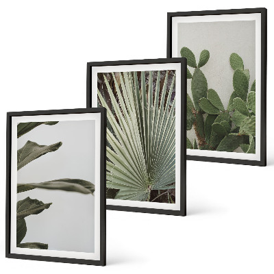 Three-piece wall art piece Leaves of tropical plants pastel