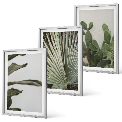 Three-piece wall art piece Leaves of tropical plants pastel