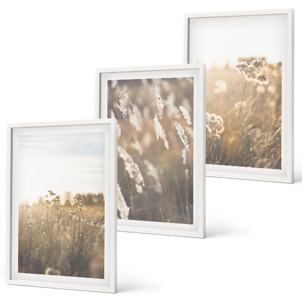 Set of 3 framed wall art pieces Landscape grass flowers warmth