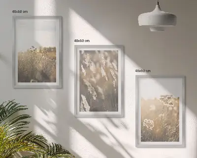 Set of 3 framed landscape wall art prints featuring grass and warm flowers
