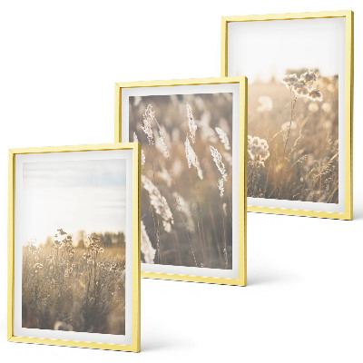 Set of 3 framed wall art pieces Landscape grass flowers warmth