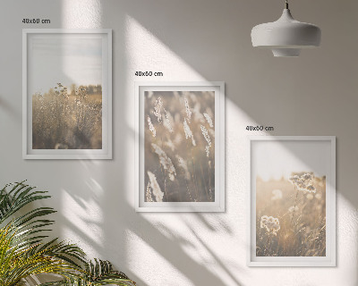 Set of 3 framed wall art pieces Landscape grass flowers warmth