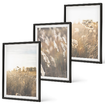 Set of 3 framed wall art pieces Landscape grass flowers warmth