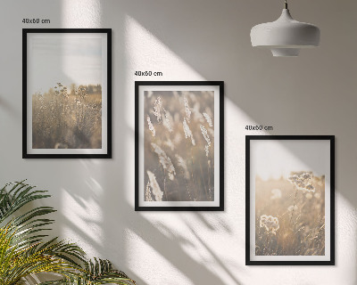 Set of 3 framed wall art pieces Landscape grass flowers warmth