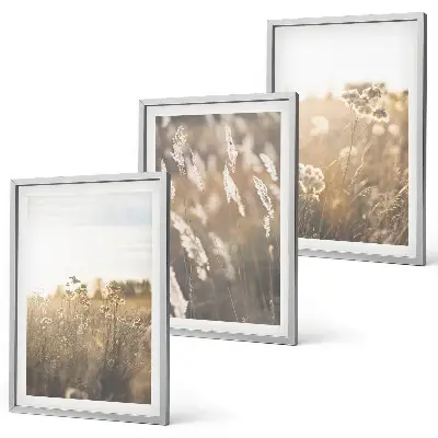Set of 3 framed landscape wall art prints featuring grass and warm flowers