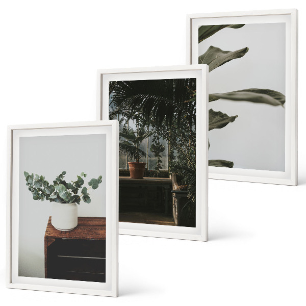 Three-piece wall art piece Rustic potted plants