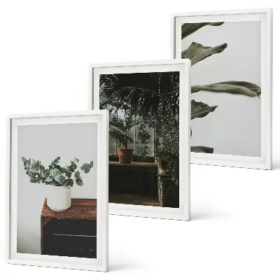 Three-piece wall art set rustic potted plants design
