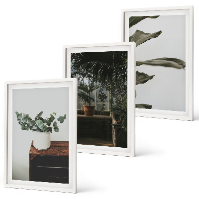 Three-piece wall art piece Rustic potted plants