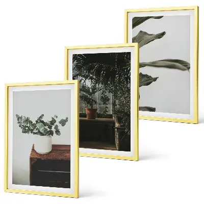 Three-piece wall art set rustic potted plants design