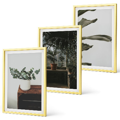 Three-piece wall art piece Rustic potted plants