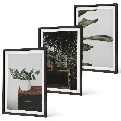 Three-piece wall art set rustic potted plants design