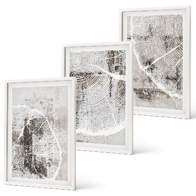 Wall art set Gray wood grain patterns