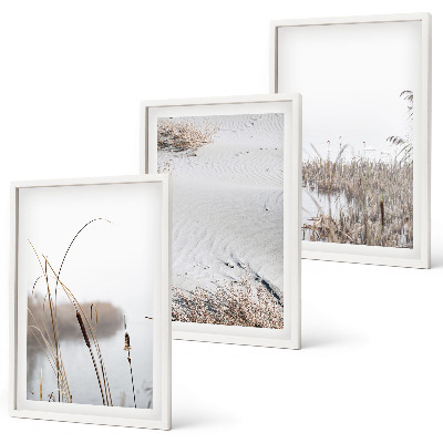 Set of 3 framed wall art pieces Aquatic vegetation in summer