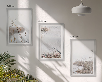 Set of 3 framed wall art pieces Aquatic vegetation in summer