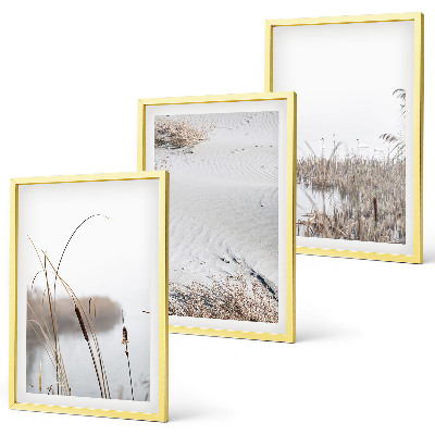 Set of 3 framed wall art pieces Aquatic vegetation in summer