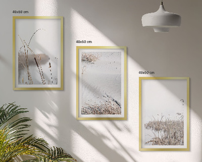 Set of 3 framed wall art pieces Aquatic vegetation in summer