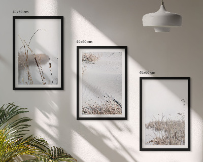 Set of 3 framed wall art pieces Aquatic vegetation in summer