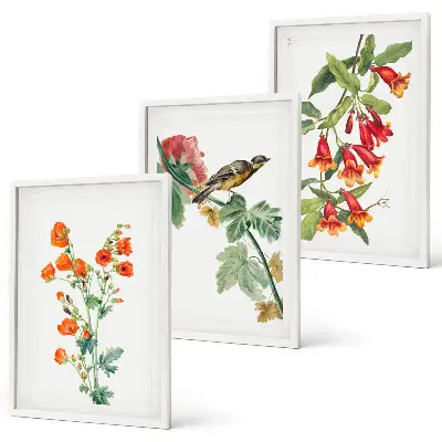 Three-piece floral and bird wall art set painted flowers and a bird design