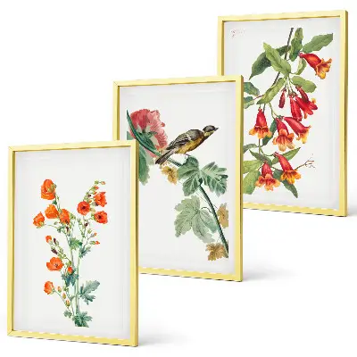 Three-piece floral and bird wall art set painted flowers and a bird design