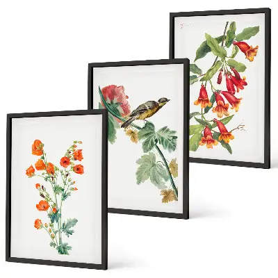Three-piece floral and bird wall art set painted flowers and a bird design