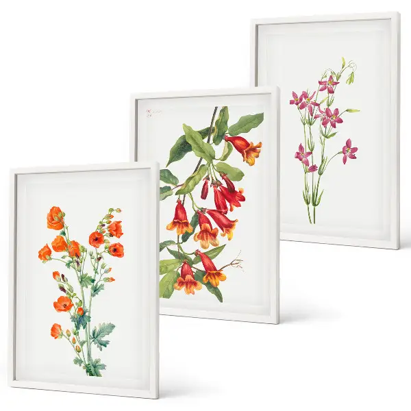 Vintage retro flower wall art set of 3 framed pieces