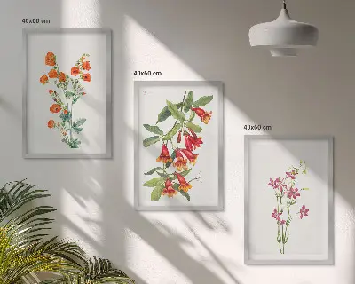 Vintage retro flower wall art set of 3 framed pieces