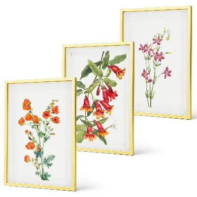 Vintage retro flower wall art set of 3 framed pieces