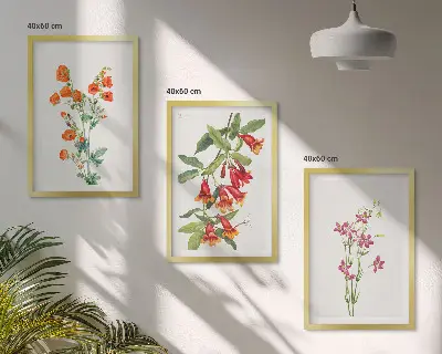 Vintage retro flower wall art set of 3 framed pieces