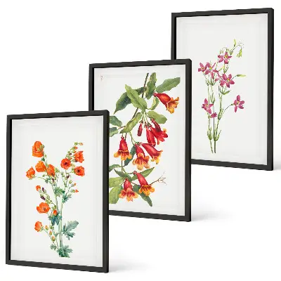 Vintage retro flower wall art set of 3 framed pieces