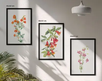 Vintage retro flower wall art set of 3 framed pieces