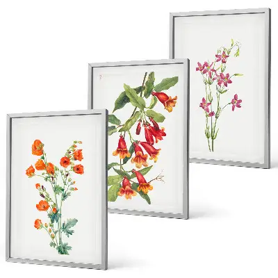 Vintage retro flower wall art set of 3 framed pieces