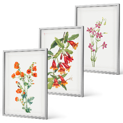 Set of 3 framed wall art pieces Vintage retro flower painting