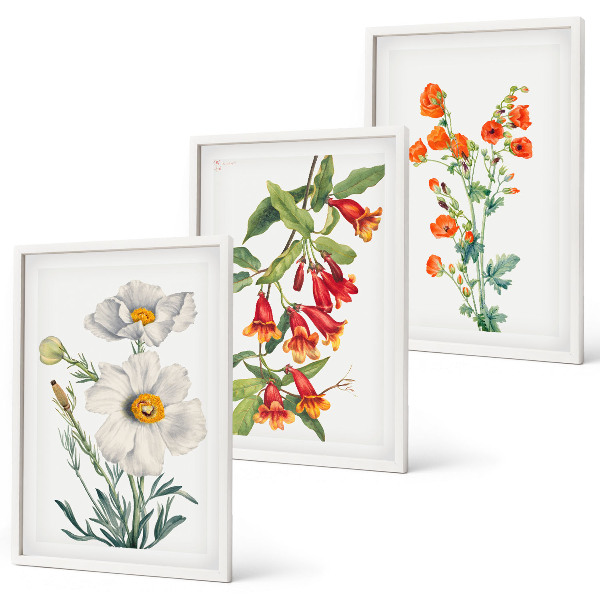 Wall art set Retro floral arrangements