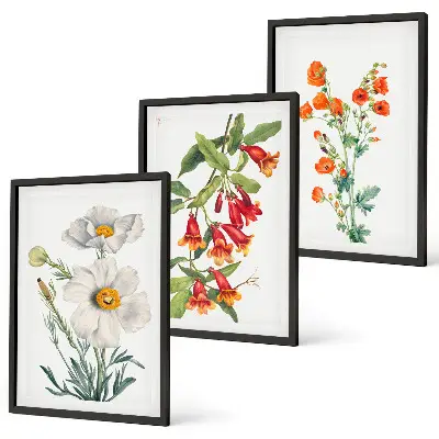 Retro floral arrangements wall art set