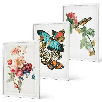 Three-piece wall art set floral butterfly and bird pastel print