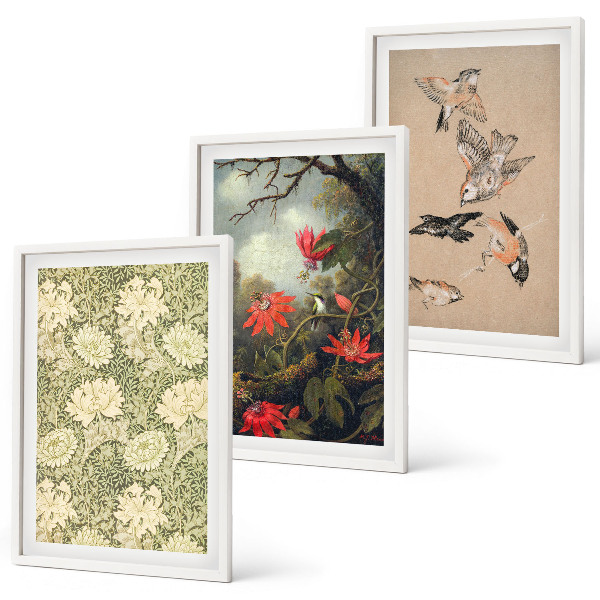 Set of 3 framed wall art pieces Flowers birds nature