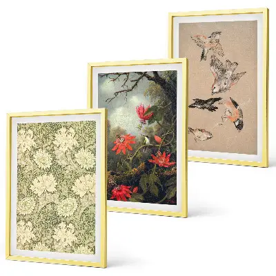 Set of 3 framed wall art pieces featuring flowers, birds, and nature