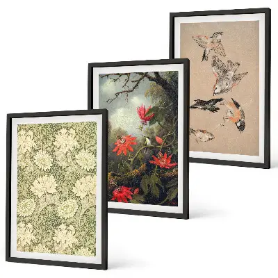 Set of 3 framed wall art pieces featuring flowers, birds, and nature