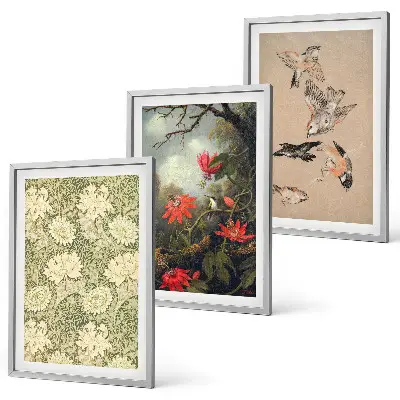 Set of 3 framed wall art pieces featuring flowers, birds, and nature