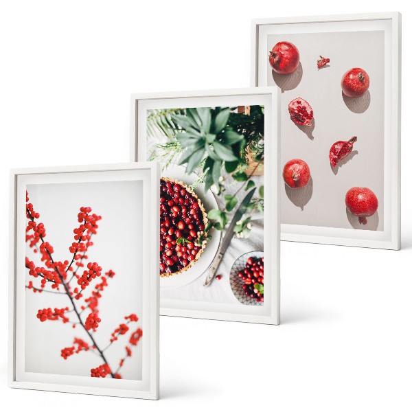Three-piece wall art piece Red fruits of plants minimalism