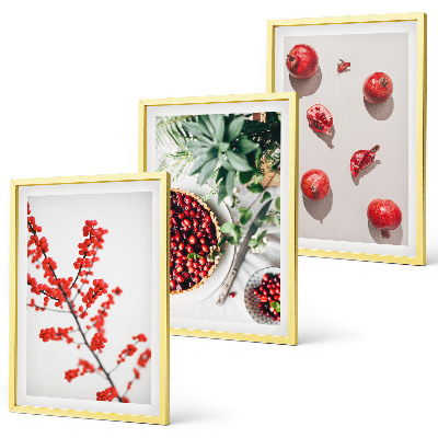 Three-piece wall art piece Red fruits of plants minimalism