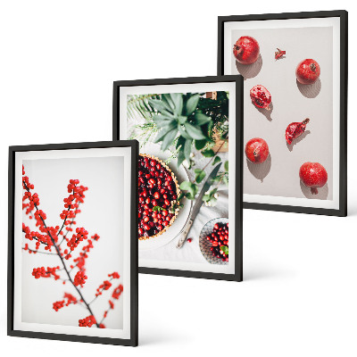Three-piece wall art piece Red fruits of plants minimalism