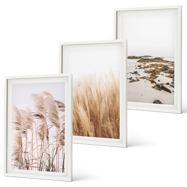 Wall art set Fields of pampas grass and a boho beach