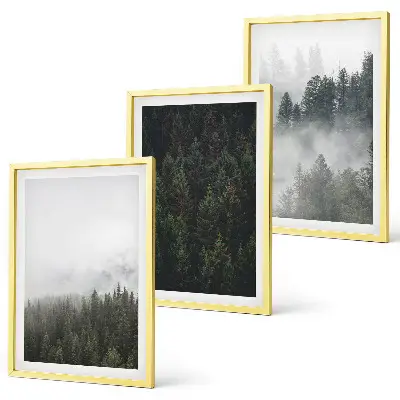 Wall art set featuring a foggy green forest nature scene